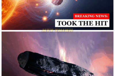 🙊 Cosmic Champion! 3I/ATLAS Survives Solar Storm Assault Like a Pro! 🌟💪 In a stunning display of resilience, 3I/ATLAS has withstood a direct assault from a solar storm, proving its toughness against cosmic forces! What secrets lie behind this asteroid’s ability to endure such extreme conditions? As scientists rush to study the aftermath, could this discovery unlock new mysteries of the universe? Join us as we delve into this incredible story of survival in the depths of space! 👇