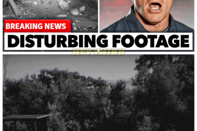 🙊 Terrifying Revelations from Skinwalker Ranch: The Underground Tunnel is a Nightmare! 🕳️😨 After years of anticipation, the underground tunnel at Skinwalker Ranch has been opened, and the findings are spine-chilling! What dark secrets and paranormal activities have been uncovered within? As experts analyze the shocking evidence, prepare for a terrifying look into the mysteries of this haunted location! 👇