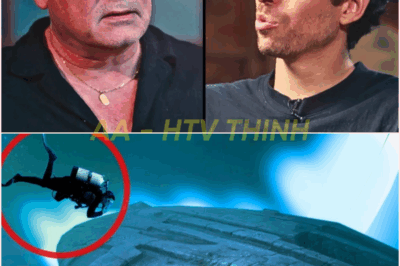 🧿 UFO or Underwater Mystery? A Massive, Damaged Object Found in the Baltic Sea—and It’s Not What You Think! 💥🔍