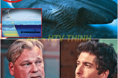 🧿 Deep Sea Treasure Hunter Unveils Shocking Discovery: A Massive UFO Found Beneath the Baltic Sea! 🌊👽