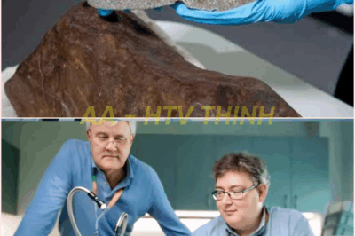 🧿 From Gold to Cosmic Treasure: The Unexpected Discovery of a 4.6 Billion-Year-Old Meteorite in Australia! 🚀🔬