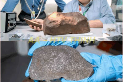 🧿 “A Strange Red Rock in Australia Turns Out to Be an Ancient Meteorite—Not Gold, But Something Far More Valuable!” 🌍💎