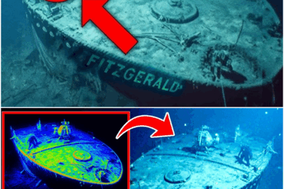The SS Edmund Fitzgerald Was Just Scanned by An AI — And It Revealed Something No One Expected