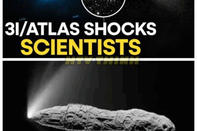 🙊”3I/ATLAS: Experts Claim ‘1 in a Million Chance’ This Interstellar Object is Just a Natural Comet! 🌌✨” In a groundbreaking revelation, scientists assert that the interstellar object 3I/ATLAS has a ‘1 in a million chance’ of being a natural comet! What does this mean for our understanding of cosmic phenomena? As the debate heats up, join us as we explore the implications of this astonishing claim! 👇