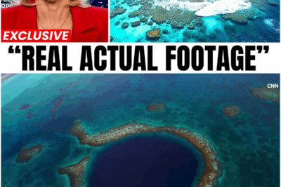 Experts Dive Into The Great Blue Hole In Submarine — What They Found Shocked the World