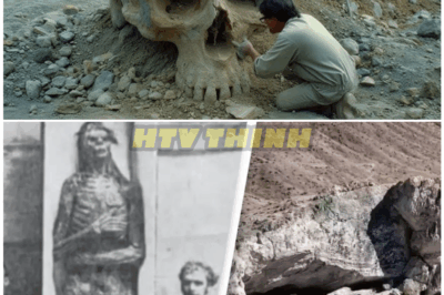 🦊 “Lost Archaeologist Stumbles Upon Giant Skeletons Buried Deep Beneath the Grand Canyon—Experts Are Terrified by What They Just Found” ⚰️