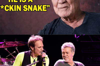 At 62, Eddie Van Halen Reveals 6 Guitarists He Hated The Most!