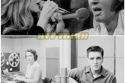 🦊 “Elvis Presley’s First Audition Lasted Only 4 Minutes — What Happened Next Stunned the Room, Changed Music Forever, and Almost Never Happened 🎤⚡”