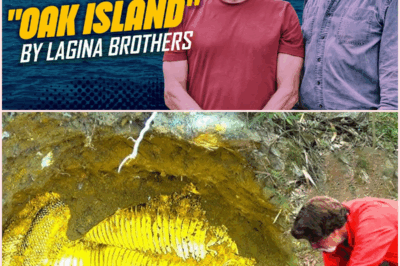 The Lagina Brothers and the Enigmatic Treasures of Oak Island: What Secrets Lie Beneath?
