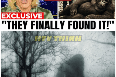 🦊 BREAKING: Bigfoot Expedition Team Confirms Stunning Evidence Found Deep in the Wilderness — The Truth They Uncovered Changes Everything 🌲