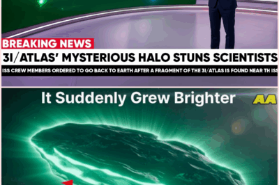 ⚡ THE SHINING OBJECT THAT THINKS: 3I/ATLAS IS PULSING IN CODE — A MESSAGE FROM DEEP SPACE? 💫🛸