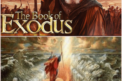 The Shocking Truth Behind Moses and the Exodus: Secrets You Never Knew! 😲📜✨