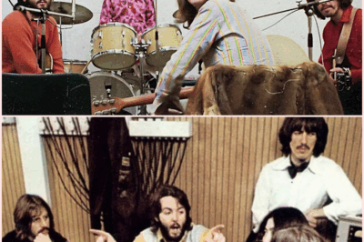 The Beatles’ Insane Work Ethic: How a Band Redefined Creativity and Productivity in Music