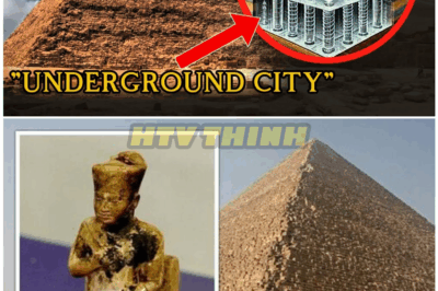 🦊 ARCHAEOLOGISTS SHOCK THE WORLD: FORBIDDEN STRUCTURES DISCOVERED BENEATH THE PYRAMIDS—SECRETS THEY NEVER WANTED REVEALED ⚡