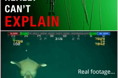 Into the Abyss: The Terrifying Truth Behind Why Deep Sea Creatures Get Creepier the Deeper You Go!