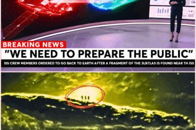 👽 “It’s Not a Comet — It’s a Machine”: Astronomers Leak Coded Report Saying 3I/ATLAS Behaved Like an Autonomous System and Sent a 12-Second Signal Directly Toward Earth 🚨