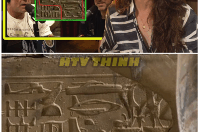 🦊 Dear Joe Rogan: An Archaeologist Breaks the Silence and Exposes the Truth Behind the So-Called “Helicopter Hieroglyphs” — And the Real Explanation Is More Stunning Than the Myth 😱