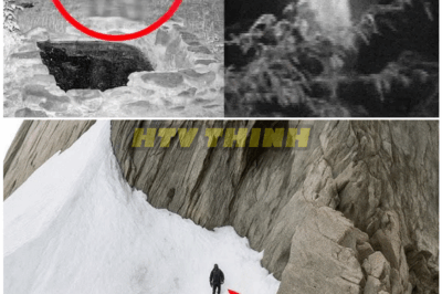 🦊 HIKER’S ABANDONED TRAIL DISCOVERY SHOCKS AUTHORITIES—WHAT HE FOUND LEFT EVEN RESCUERS TREMBLING 🌲