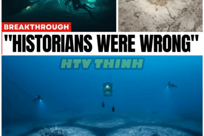 🦊 Diver Spots Something Unbelievably Strange on the Ocean Floor—And Within Seconds Realizes He’s Looking at Something That Absolutely Shouldn’t Exist 😱