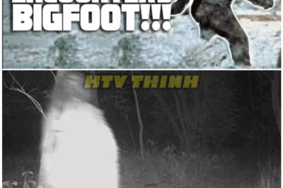 🦊 “INCREDIBLE! Rare Trail Cam Footage Captures Bigfoot in a Brutal Showdown With a Bear — Experts Left in Total Shock 🐻👣”
