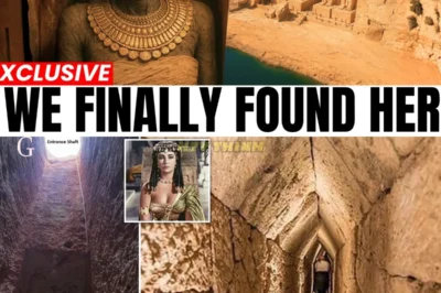 Cleopatra’s Tomb Finally Unearthed: The Terrifying Secrets Hidden Inside Will Change History Forever!