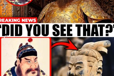 A New Terracotta Army Commander Discovered — And It’s Rewriting Everything We Thought We Knew About Ancient China!