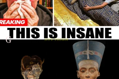 The Terrifying Revelation From Queen Nefertiti’s DNA Analysis — What Scientists Found Will Shock You!