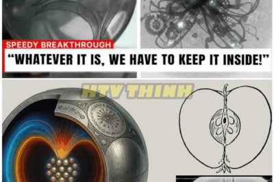 🦊 MIT Just Released the CLEAREST X-Ray of the “Buga Sphere” — What They Found Inside Is Rewriting Physics, Terrifying Governments, and Shattering Everything We Thought We Knew ⚡