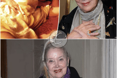 𝗘𝗻𝘁𝗲𝗿𝗶𝗻𝗴 𝗛𝗼𝘀𝗽𝗶𝗰𝗲