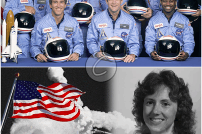 𝐃𝐢𝐬𝐚𝐬𝐭𝐞𝐫 𝐂𝐫𝐞𝐰