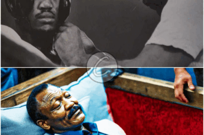 𝔖𝔠𝔦𝔢𝔫𝔱𝔦𝔰𝔱𝔰 𝔉𝔬𝔲𝔫𝔡