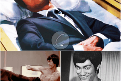 𝔗𝔥𝔢𝔶 𝔉𝔬𝔲𝔫𝔡