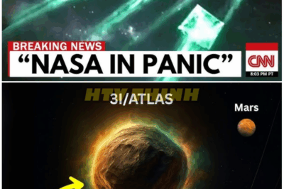 🦊 9 Mysterious Objects Are Circling the 3I-ATLAS — Astronomers STUNNED as Rogue Bodies Move in Perfect Formation and Vanish from NASA’s Tracking Systems 🌌