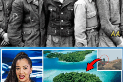 American WWII Pilot Claims He Saw Giants on Solomon Island—And Then Soldiers Began Vanishing