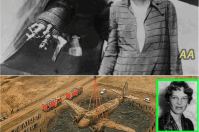 “After 88 Years, Amelia Earhart’s Missing Plane Has Finally Been Found—The Shocking Truth Revealed ✈️🌊❓”