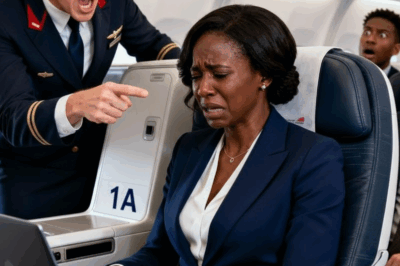 ✈️ “The Woman in Seat 3A”