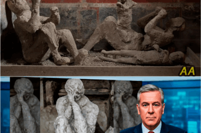 The Stone Corpses of Pompeii: New Discoveries Reveal the Shocking Truth Behind the Victims of Vesuvius