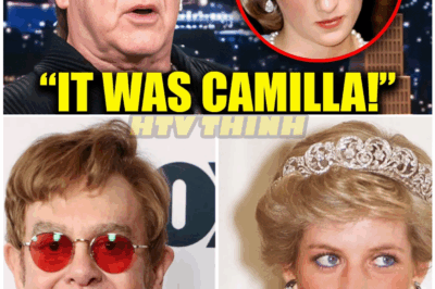 🦊 ELTON JOHN BREAKS HIS SILENCE ON PRINCESS DIANA – THE CONFESSION THAT’S LEFT THE WORLD IN UTTER SHOCK 💔👑