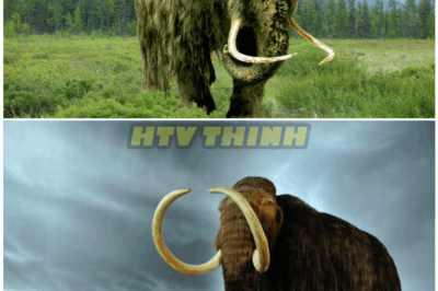 🦊 3 MIN AGO: Top-Secret Lab Brings Back Extinct Beast — The WOOLLY MAMMOTH LIVES AGAIN… But the Horrifying Discovery Moments Later Has the World on EDGE 🌍⚠️