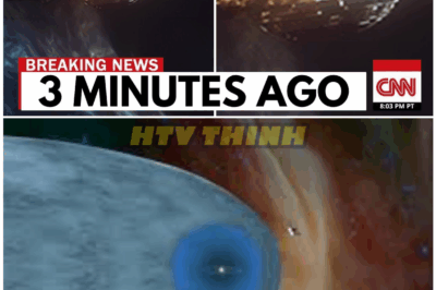 🦊 VOYAGER 2 STUNS NASA: PROBE SUDDENLY TURNS BACK—WHAT IT DISCOVERED JUST FROZE THE WORLD IN SILENCE 🚀