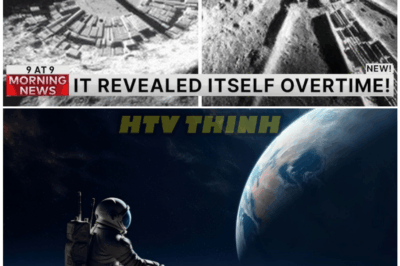 🦊 NASA QUANTUM LAB STUNS THE WORLD: HIDDEN STRUCTURE DISCOVERED BENEATH THE MOON—WHAT THEY FOUND CHANGES EVERYTHING 🌕