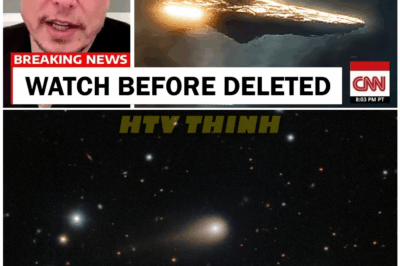 🦊 James Webb Telescope UNCOVERS UNTHINKABLE COSMIC SHOCKER as First-Ever Image of Interstellar Wanderer 3I/ATLAS Sends NASA Into URGENT, CLOSED-DOOR CRISIS MEETINGS—Scientists Whisper of a Discovery So Disruptive It Could Rewrite Humanity’s Place in the Universe 🌌