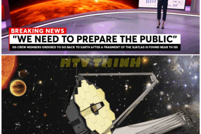 🦊 “Moments Ago, the James Webb Telescope Captured an Image of 3I/ATLAS So Alarming Astronomers Went Silent—The Cosmic Mystery No One Saw Coming” 🌌