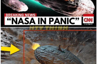 🦊 “SHOCKING REVELATION: The Disappointing Truth About 3I/ATLAS That NASA Didn’t Want You to Know — Hidden Failures, Controversies, and Secrets Exposed 💥🛰️”