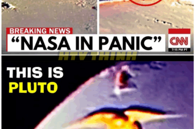 🦊 “COSMIC SHOCKER: James Webb Telescope FINALLY Reveals What NASA Was Hiding on Pluto — Secrets That Could Rewrite Space History 🚀🌌”