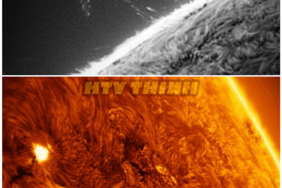 🦊 I Filmed the SUN Through My Telescope — And What Appeared in the Footage Left Me Frozen in Absolute Shock 😱