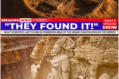 Secrets of the Grand Canyon: What Scientists Discovered in the Forbidden Zone Will Leave You Speechless!
