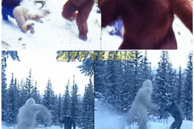 🦊 “PANIC IN THE MOUNTAINS: Vacation Turns to Nightmare as Tourists Come Face-to-Face With a Creature No One Can Identify 👣🔥”