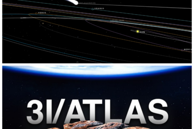 🐘 “Why NASA’s Silence on 3I/ATLAS Is Concerning: What They Should Have Told Us! 🚨” “As NASA continues to withhold information about 3I/ATLAS, experts are sounding the alarm. ‘Public awareness is essential for planetary defense,’ they stress, questioning the agency’s motives. What important facts should NASA have communicated, and how could these revelations affect our response to potential threats?” 👇