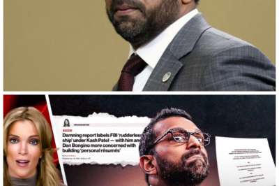 🐘 “Kash Patel Exposed: Miranda Devine’s Harsh Report on Vanity and Ambition!” 😲 Miranda Devine’s scathing report on Kash Patel highlights the troubling aspects of his vanity, sparking discussions with political analyst Mark Halperin. “What are the risks associated with such a self-centered approach in politics?” As the narrative unfolds, the scrutiny of Patel’s character prompts a deeper look at the nature of political ambition and public perception. 👇